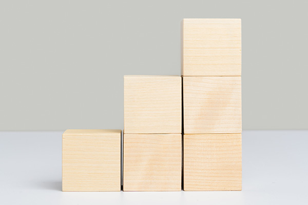 Wooden building blocks